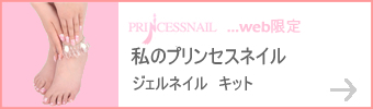 私のプリンセスネイルジェル通信講座キット