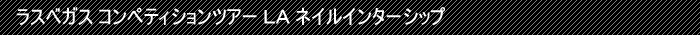 ラスベガス コンペティションツアー ＬＡ ネイルインターシップ　案内