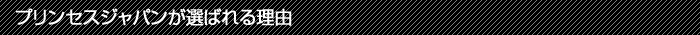プリンセスジャパンが選ばれる理由